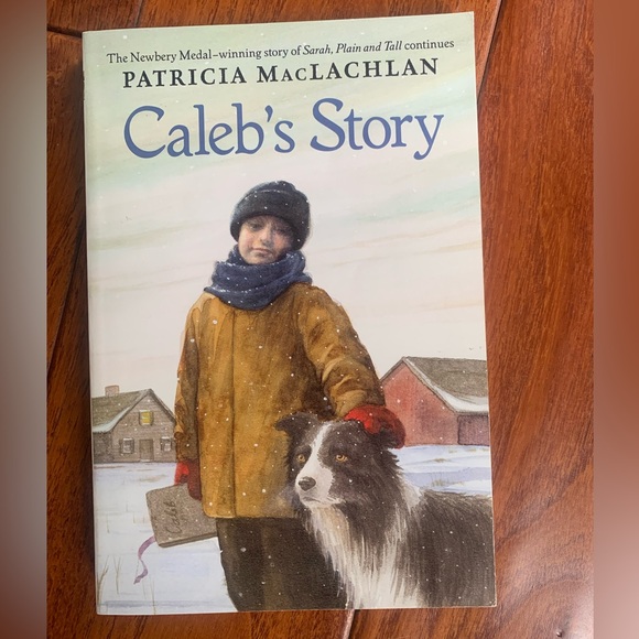 SARAH PLAIN AND TALL, SKYLARK, CALEB'S STORY Patricia MacLachlan Lot of 3 - Picture 5 of 9